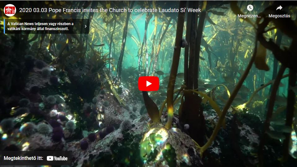 Laudato si’ hét Ferenc pápa a világ katolikus közösségeit a május 16-24. közötti időszakra meghirdetett Laudato si’ hét megünneplésére buzdítja!